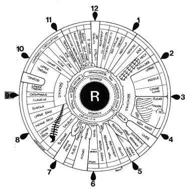 iridology_iris_eye_chart_right_mirror
