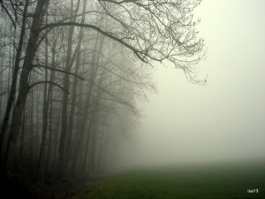 foggy day